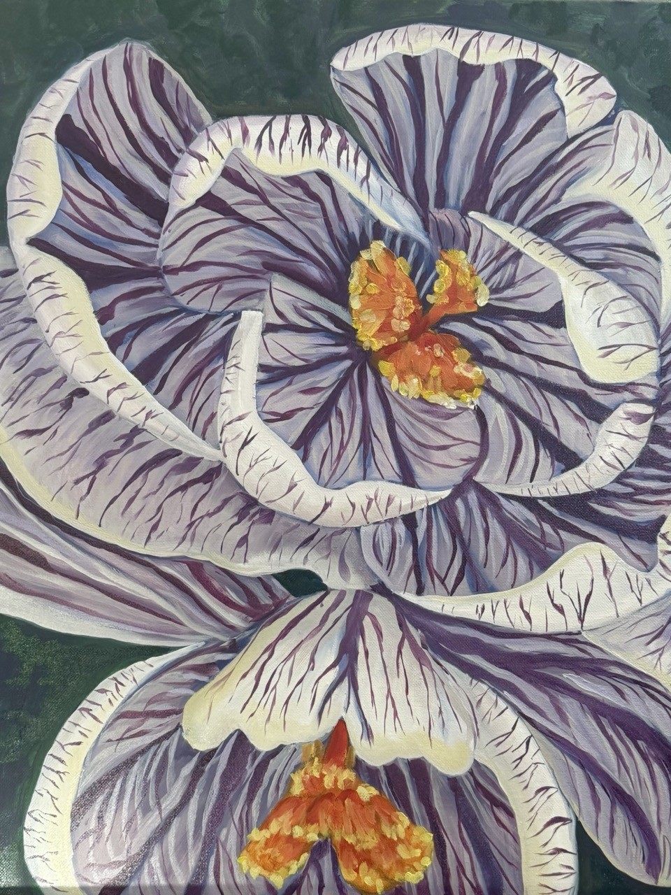 Crocus- Harbinger of Spring