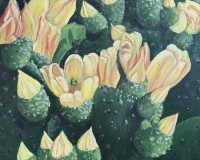 Cacti in Green