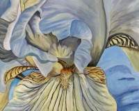 Heart Of the Iris Interpretation